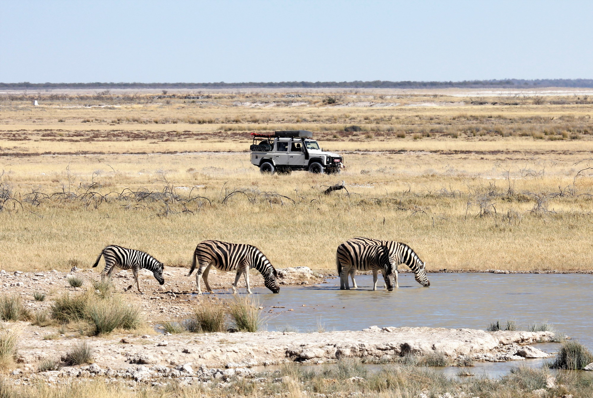 Etosha