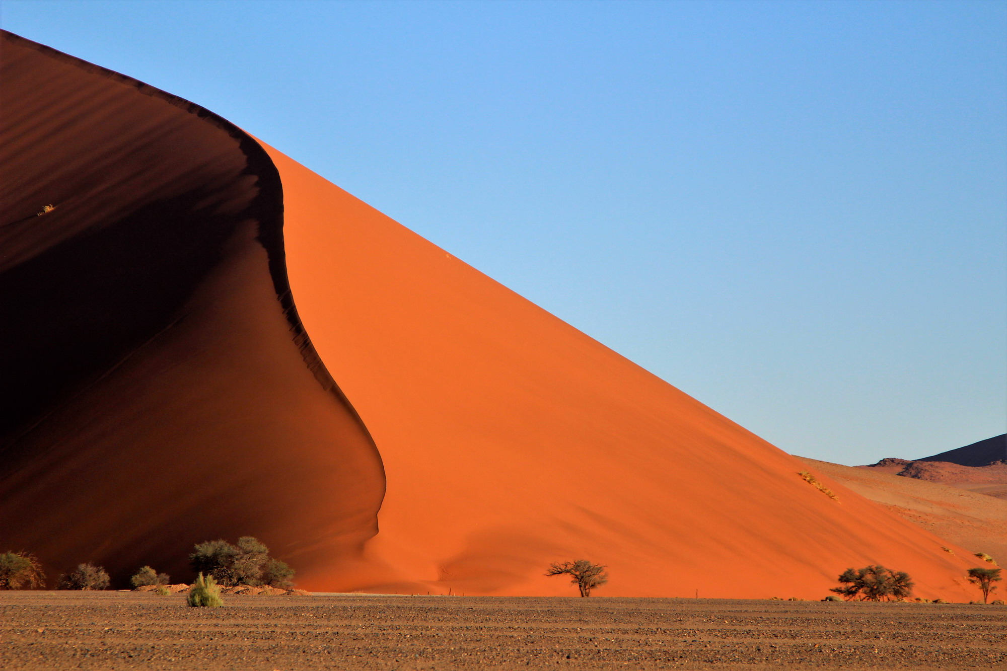 Namib Desert