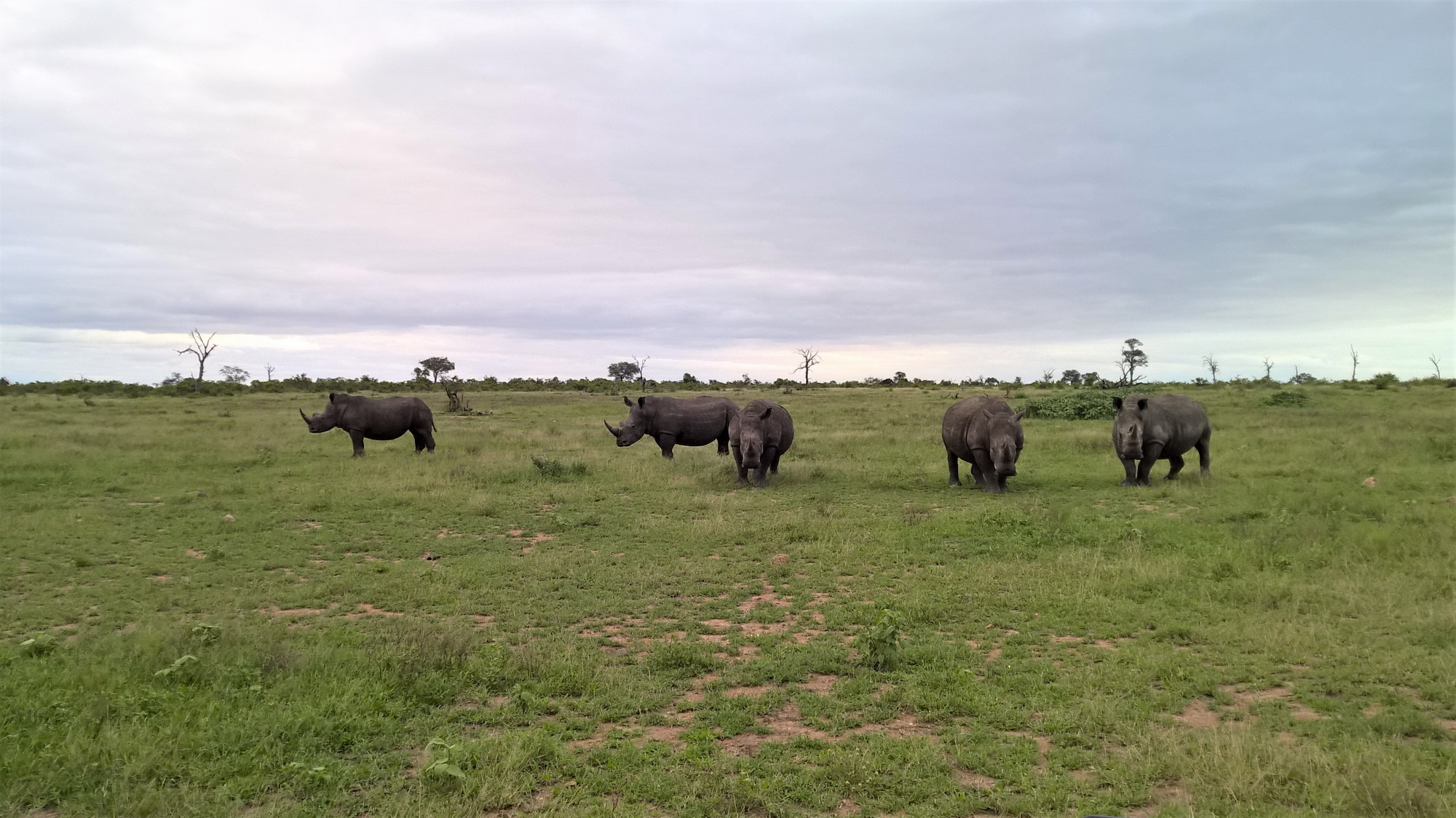 Kruger National Park South Africa